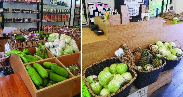 (HỘ KINH DOANH) TRẦN VĂN XUÂN EM